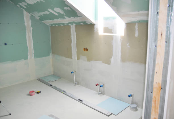 Professional Mold Removal in Basin, WY
