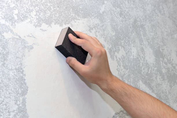 Best Environmental Consulting for Mold Prevention  in Basin, WY