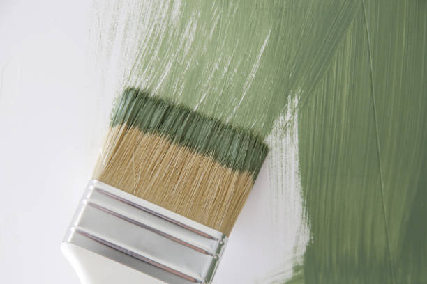 Mold Odor Removal Services in Basin, WY