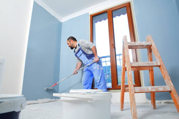Mold Documentation for Insurance Claims in Basin, WY