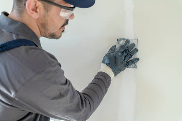 Best Post-Construction Mold Inspection  in Basin, WY