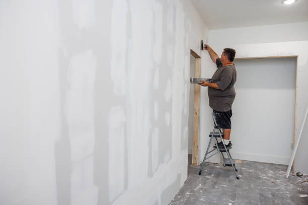 Best Crawl Space Mold Remediation  in Basin, WY