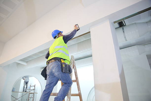 Best Biohazard Mold Removal  in Basin, WY