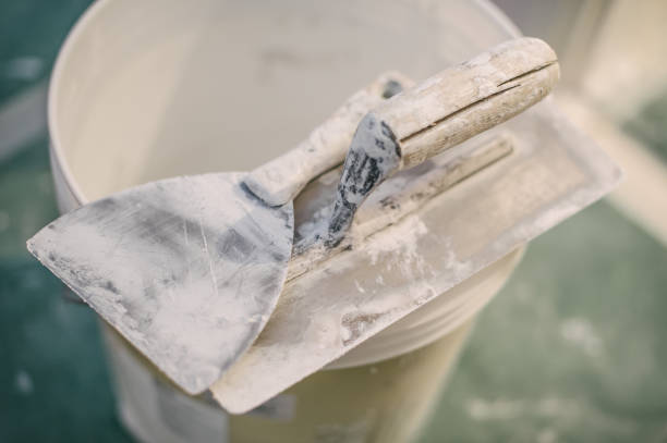 Best Airborne Mold Testing  in Basin, WY