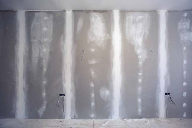 Best Mold Prevention Services  in Basin, WY